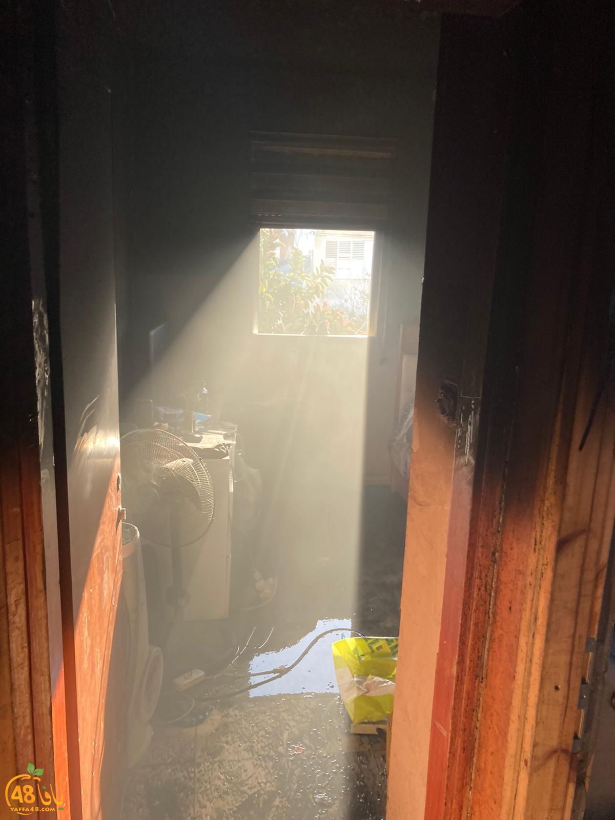 WhatsApp Image 2021-01-26 at 12.16.01 PM.jpeg